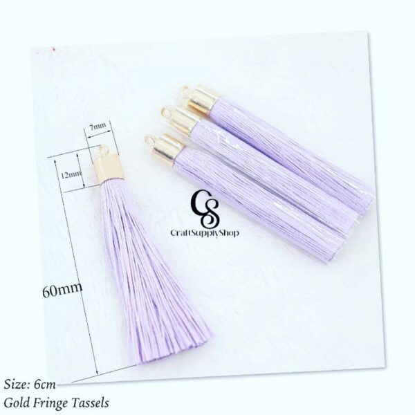 6cm Silk Fringe Tassel Earrings