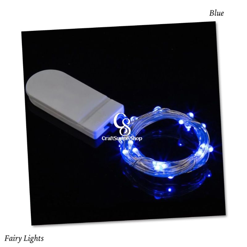 Fairy Lights (10) Fairy Lights