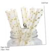 Metallic Gold Star Paper Straws