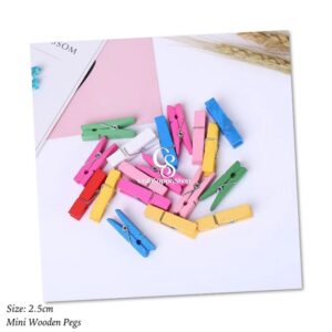 Mini Coloured Wooden Pegs