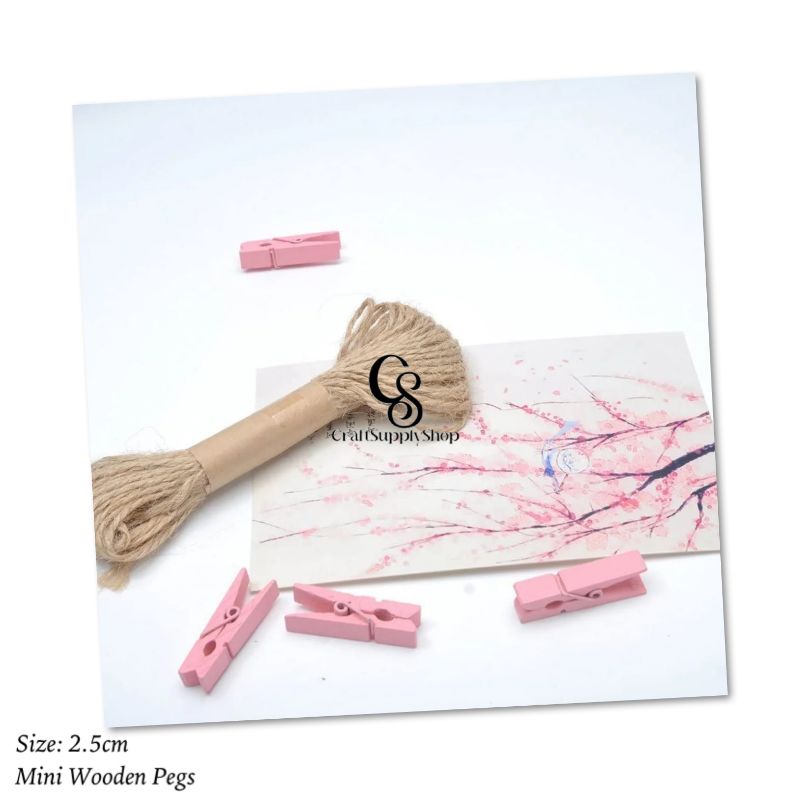 Mini Coloured Wooden Pegs (9) Mini Coloured Wooden Pegs