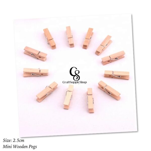 Mini Wooden Pegs