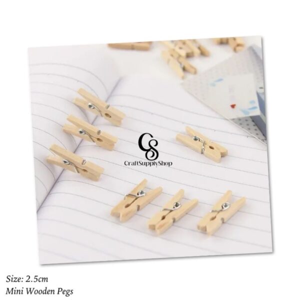 Mini Wooden Pegs