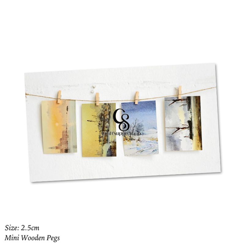 Mini Wooden Pegs