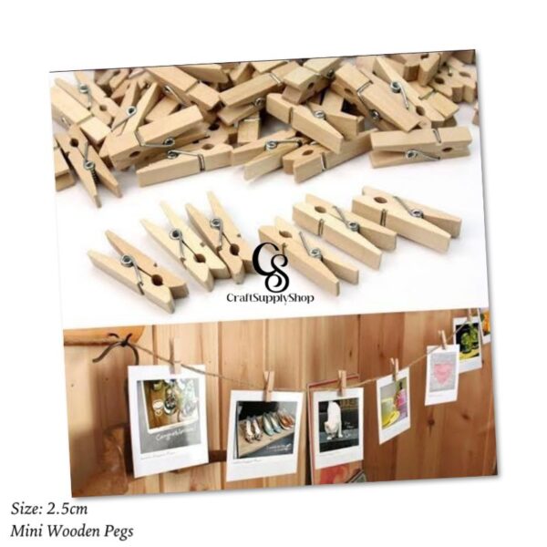 Mini Wooden Pegs