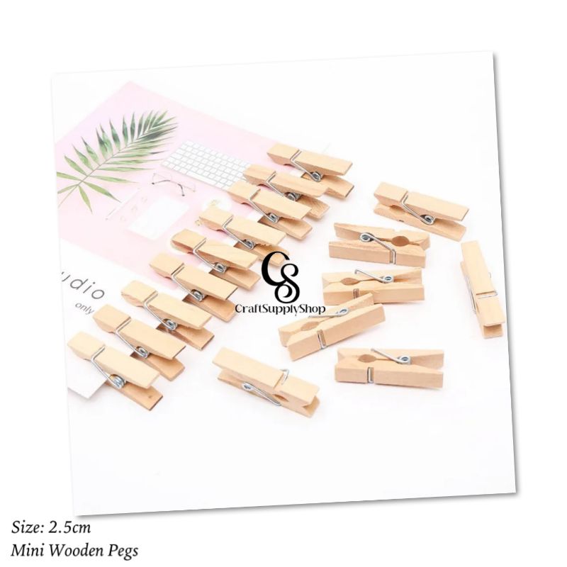 Mini Wooden Pegs