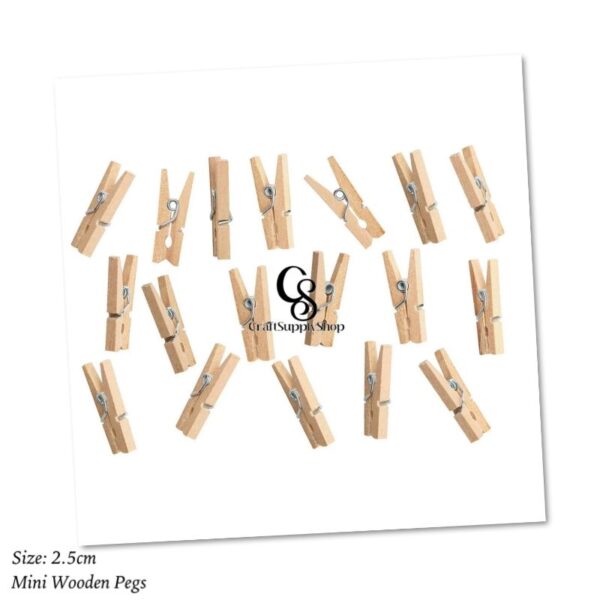 Mini Wooden Pegs