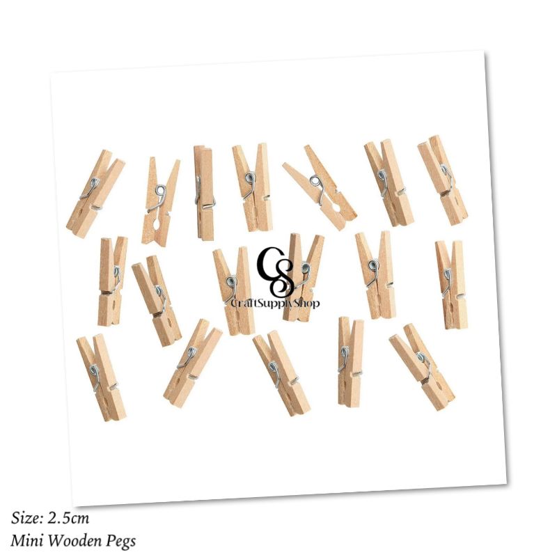 Mini Wooden Pegs