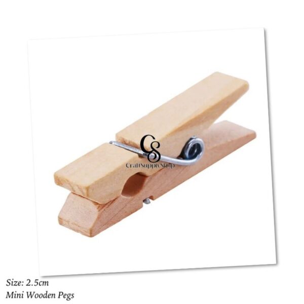 Mini Wooden Pegs