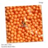 Orange 4-6mm Polystyrene Styrofoam Beads Fillers