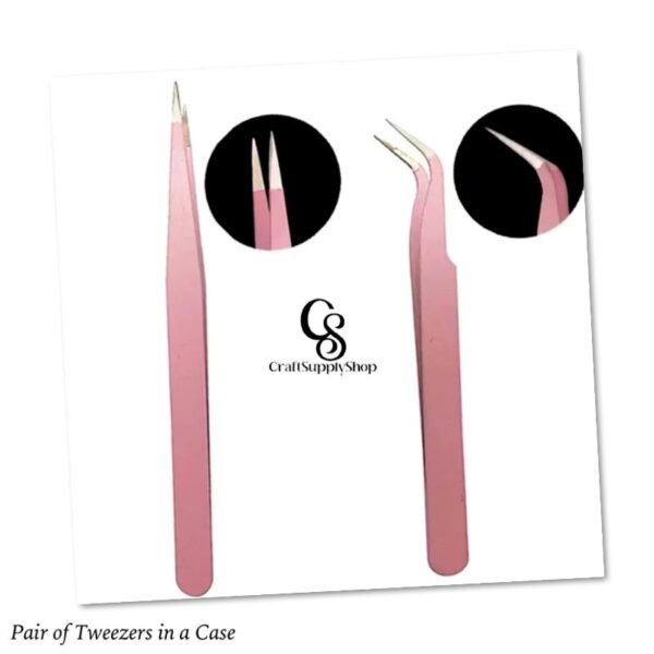 Pair of Tweezers with Case