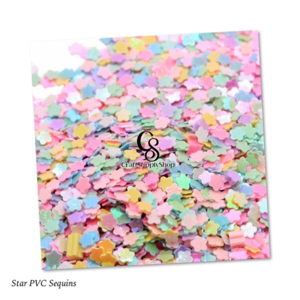 Star PVC Sequin Glitter