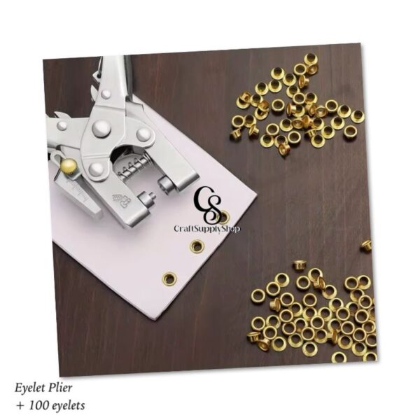 Eyelet Hole Punch Pliers Kit with 100 Eyelets - Hollow Grommet Portable Handheld Grommet Eyelet Setting Tools for Card Paper Canvas