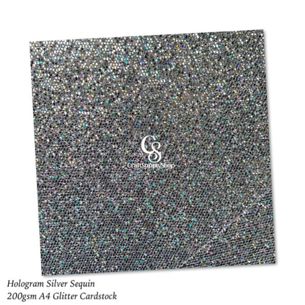 Glitter Silver Hologram Sequin Honeycomb Cardstock Paper, 200gsm Rainbow