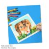 6Pack Non-Toxic Crayons Colorful Art Set Washable Drawing Crayons Kids Pastel Plastic Crayon, Crayon Graffiti Boxed Art Oil Paint Stick