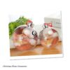 8cm/10cm Clear Plastic Christmas Flat Ball Ornaments Xmas DIY Christmas Photo Ball, picture open and close ornament ball bauble