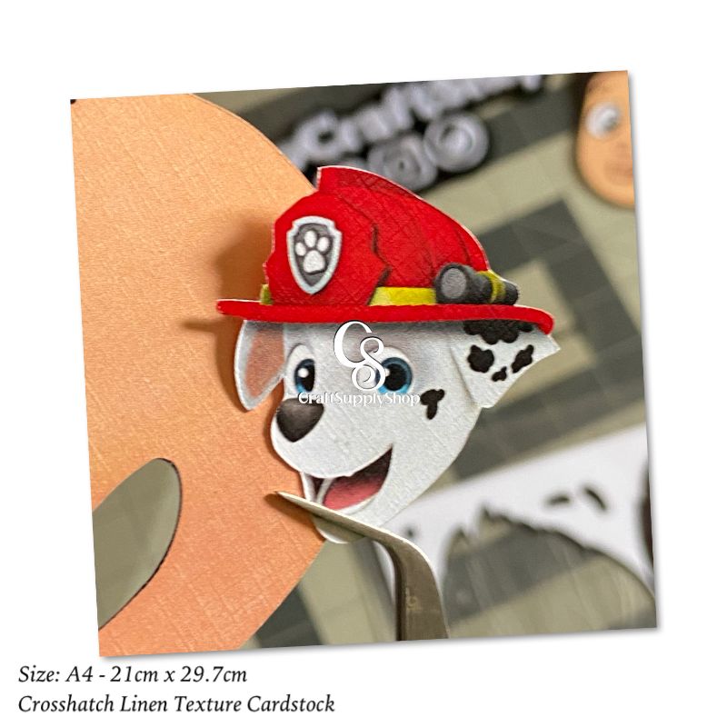 Linen Embossed cardstock Excellent for Cards, Scrapbook,Wedding Stationery, Textured Paper Decorative cardstock for Invitations menus Photo Albums Table Cards Covers Business Cards Flyers