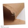 250Gsm 300gsm Brown Kraft Paper, A4 Size, Perfect for Creating Invitations, Scrapbooks, Crafts, Cards, Decor Print, cut, wrapping (4) A4 Brown Kraft Paper Specialty Cardboard for Printing Painting Wrapping, Solid Kraft Paper Sheet